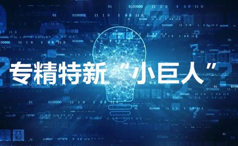 【詳細(xì)】專精特新企業(yè)申報(bào)流程、條件、領(lǐng)域
